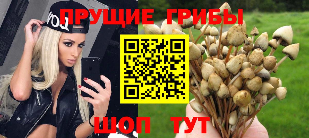 Галлюциногенные грибы мицелий Нальчик