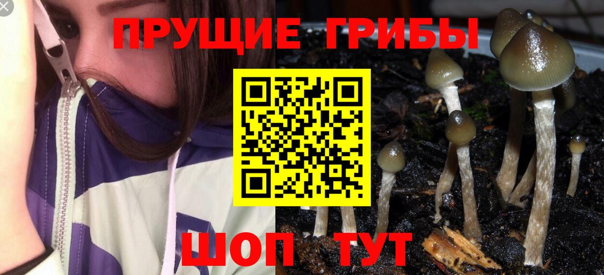Галлюциногенные грибы ЛСД  Вход с VPN  Нальчик 